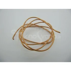Filo Rame Smaltato (10cm) Filo Rame Smaltato (10cm)