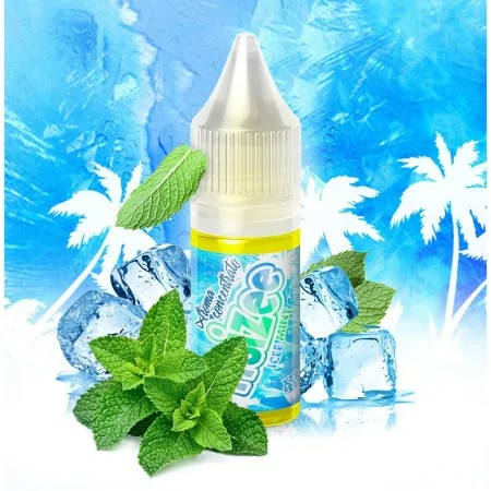 ICEE MINT Aroma Concentrato Fruizee 10ml