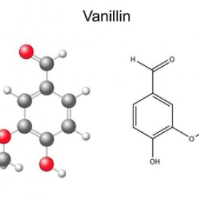 Aromi Flavor Apprentice Vanillin 10 (PG)10ml